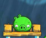愤怒的小鸟2普通猪和雨伞猪属性对比